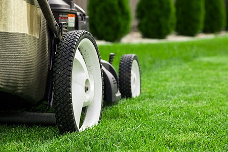 The Ideal Lawn Mowing Schedule in Wisconsin: Weekly vs. Bi-Weekly Thumbnail
