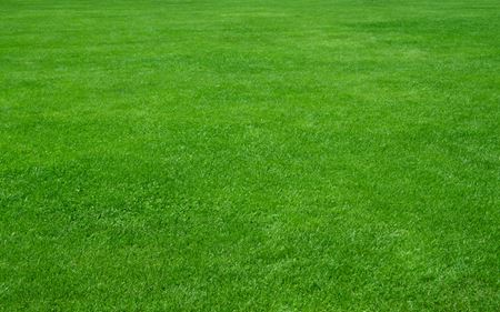 Four Steps To Installing A New Beautiful Lawn for Your Sheboygan Home Thumbnail