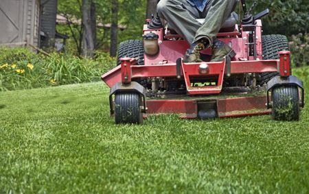 Lawn Maintenance & Mowing Thumbnail